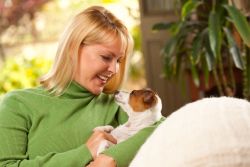 Tierhaare entfernen: Hundehaare